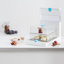Steam Spa Food Steamer