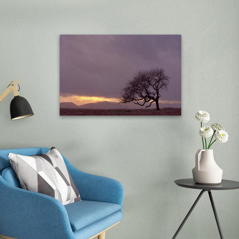 Champ - paysages, arbres, photographie, H 16 po x l 24 po