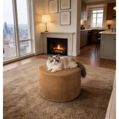 Velours côtelé de gingembre - entièrement comprimé, sans assemblage, idéal pour les petits espaces et les décors modernes, profondeur de 24 po, hauteur de 15 po, rembourrage de 9 lb, polyvalent comme extension, s'adapte aux intérieurs, large, haut,