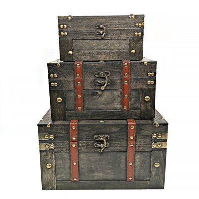 Jaeyon 3 Piece Decorative Trunk Set