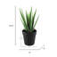 Faux Succulent Plant in Pot-1002955718