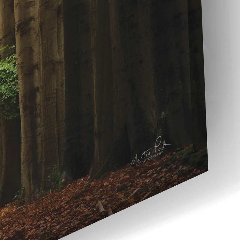  «Forest Bound» par Martin Podt, art mural en verre acrylique, 24 po x 16 po, H 16 po x l 24 po