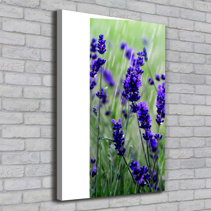 Lavender Field - Wrapped Canvas Print