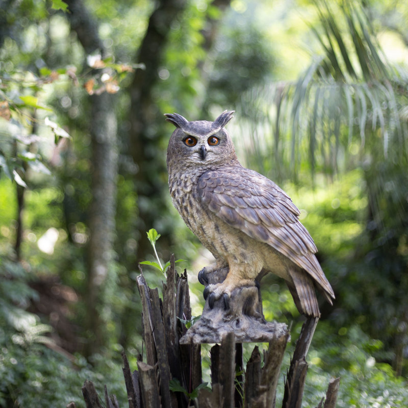 Brown Long Eared Owl on branch | Handcrafted Decorative Bird Statue for Home & Garden | Premium Polyresin, Weather-Resistant Indoor/Outdoor Decor