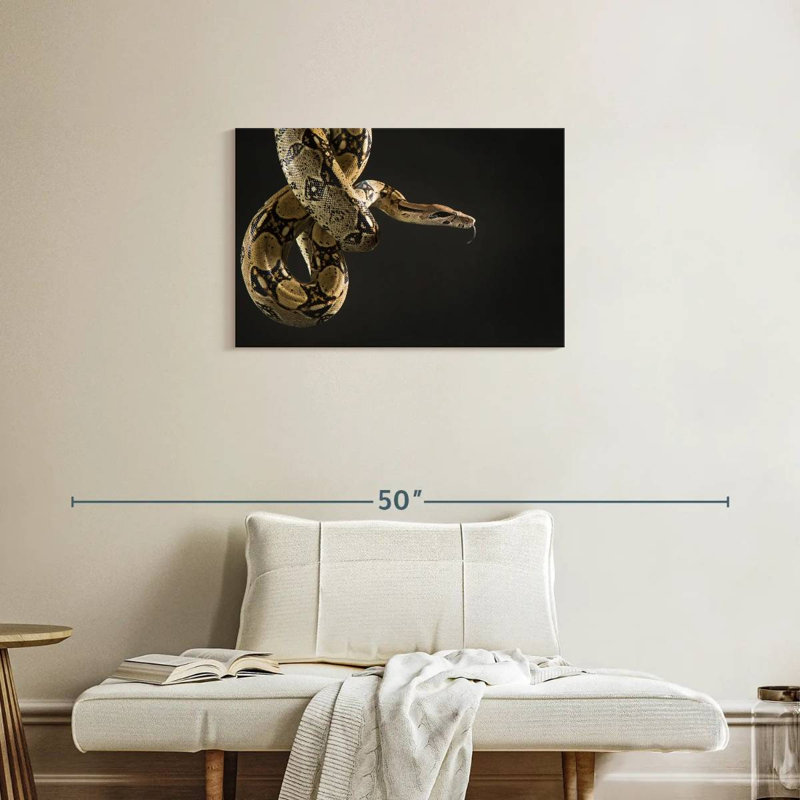 Serpent brun Brampt, H 20 po x l 30 po