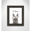 Le lapin est courage-48169697-48163495