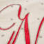  Coussin 16,5 po Jewel Noel