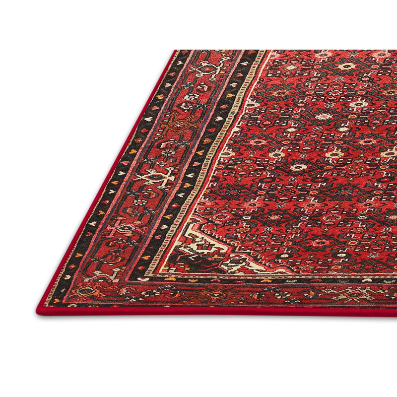 Tapis traditionnel rouge / brun Ritwik, Rectangle 8 pi x 12 pi