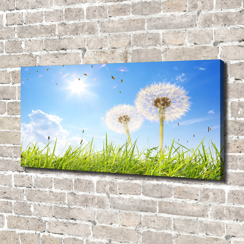 Dandelions - Wrapped Canvas Print