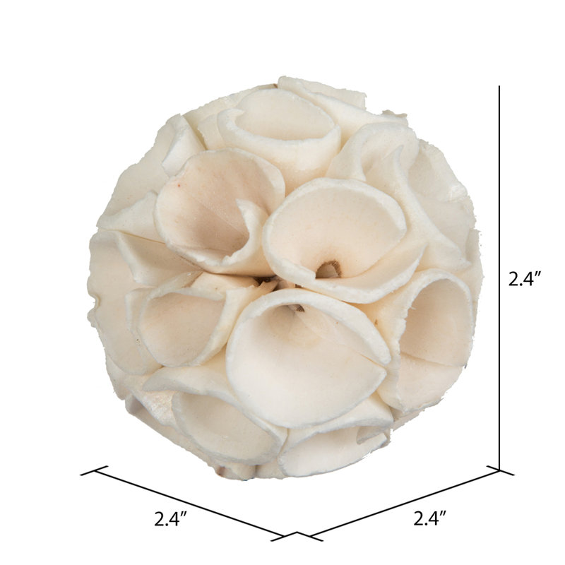 2.4'' Plant