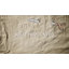 Papier peint crocodile-13995018
