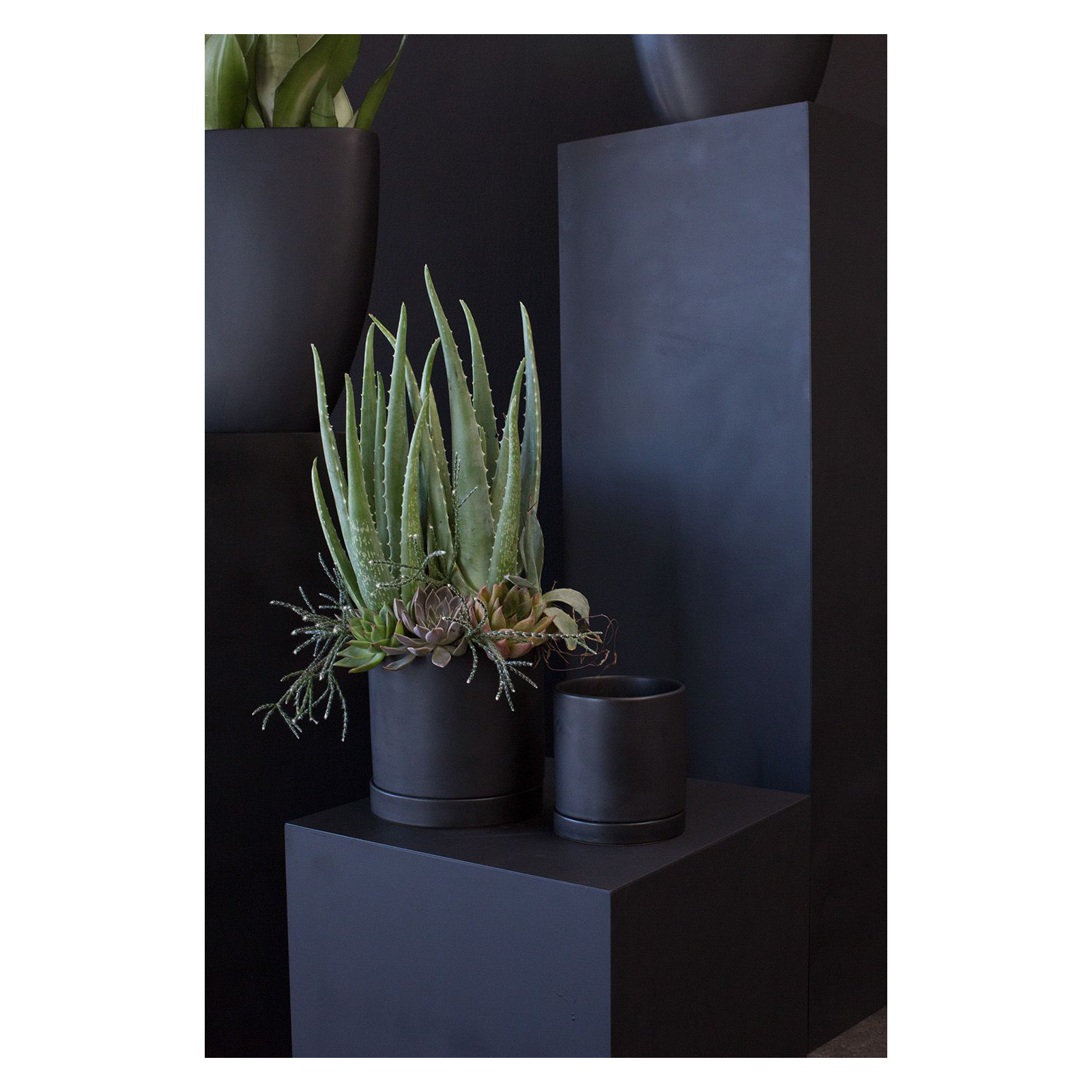 Carlotta Ceramic Pot Planter, 7" H x 7" W x 7" D, Black