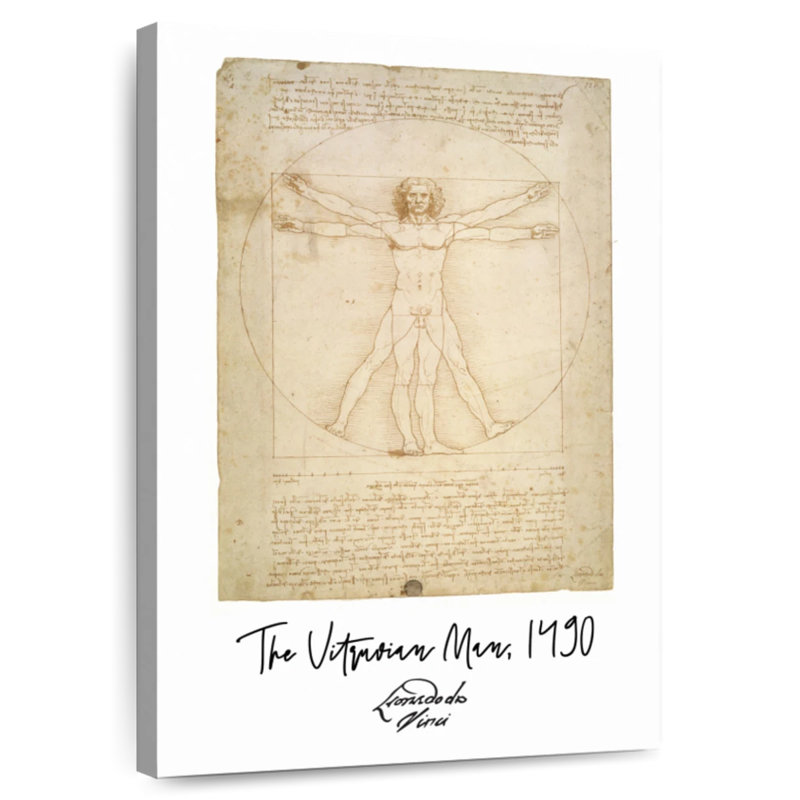 Affiche de Vitruvian Man Da Vince, H 30 po x l 20 po