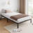10 Inch Bed Frame No Box Spring Needed-1727043631