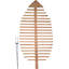 160cm H x 84cm W Wood Curved Trellis