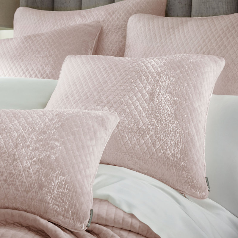 Enzo Sham, Blush