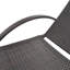 Fionnula Powder Coated Aluminum Reclining Patio Chaise Lounge Set-28468521