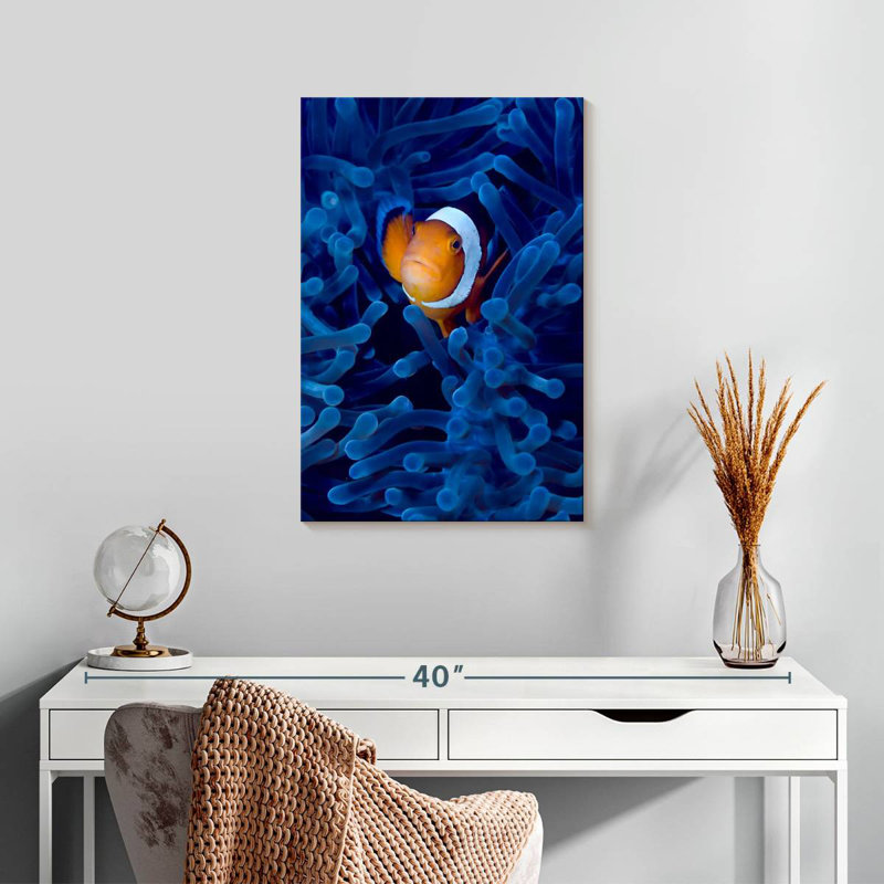Poisson-clown Brampt Blue Anemone, H 24 po x l 16 po