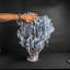 Genuine Blue Ridge Coral (25", 24 Lbs)