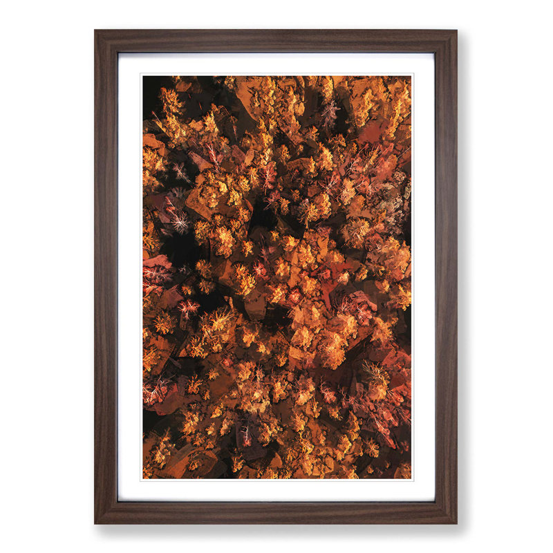 Autumn Forest in Bloom in Abstract - Picture Frame Graphic Art Print, Walnut Framed, 36cm H x 27cm W x 2cm D