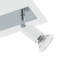 Spotlight-19515358