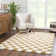 Atiran Checkered Plush Pile Brown Area Rug