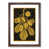 Walnut Framed