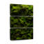 «Thick Moss», reproduction d'art sur toile-117433961