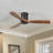 Nicola 52'' 3-Blade Ceiling Fan With Remote Control-1789334595