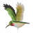 Flying Bird Mobile - Hummingbird