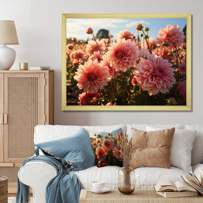 " Dahlia Field Sunrise III "
