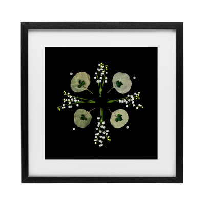 «Leaves & Wildflowers on Black», reproduction encadrée sous verre, conception de Beth Adoette