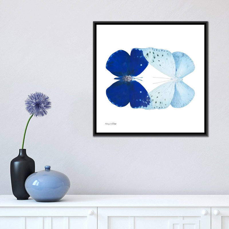 « miss papillon x-ray vii », impression sur toile, H 18 po x l 18 po x P 1,5 po, Toile encadrée noire