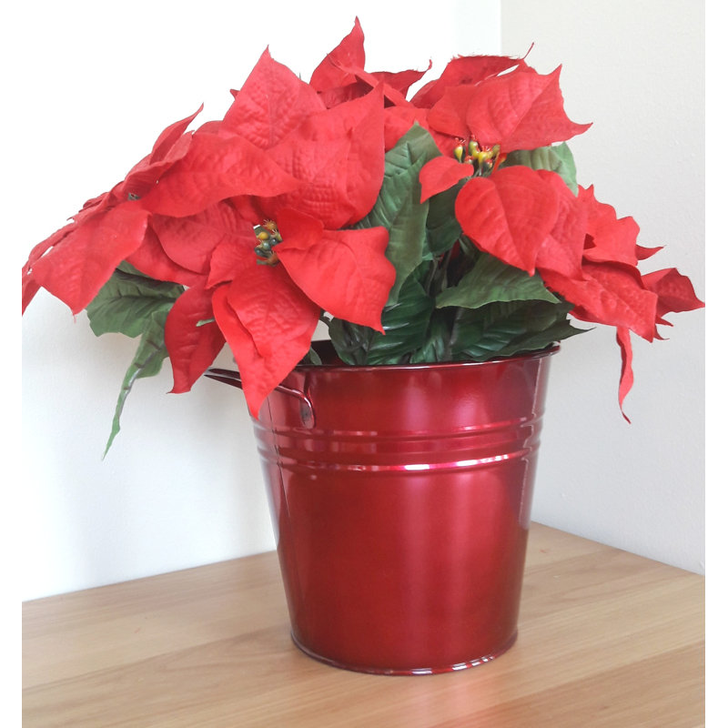 Metal Pot Planter, Apple
