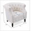 Fauteuil club Akira