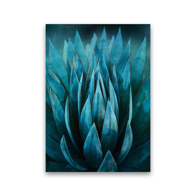 Blue Succulent - Print, No Framed, 30cm H x 21cm W x 1cm D