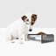 Petite mangeoire pour animaux grise-102882921