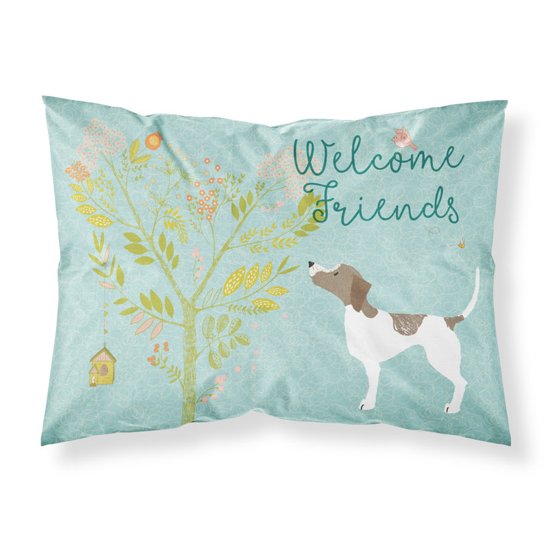 Microfiber, Pointer