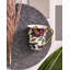 Spode Creatures Of Curiosity Mug Cream 12Oz.