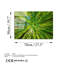 Boze Print on Glass