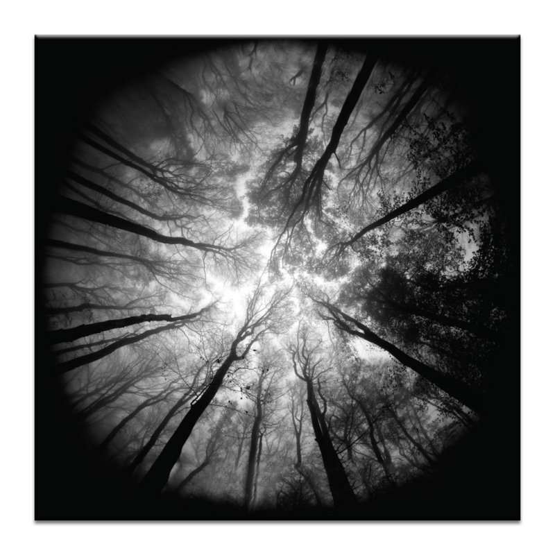 Wrapped Canvas Print, 41cm H x 41cm W