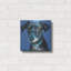 «Blue Black Hound» par Carolee Vitaletti-1826286520