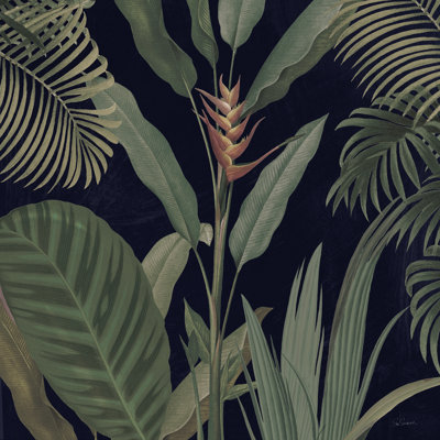 Lumière dramatique tropicale II