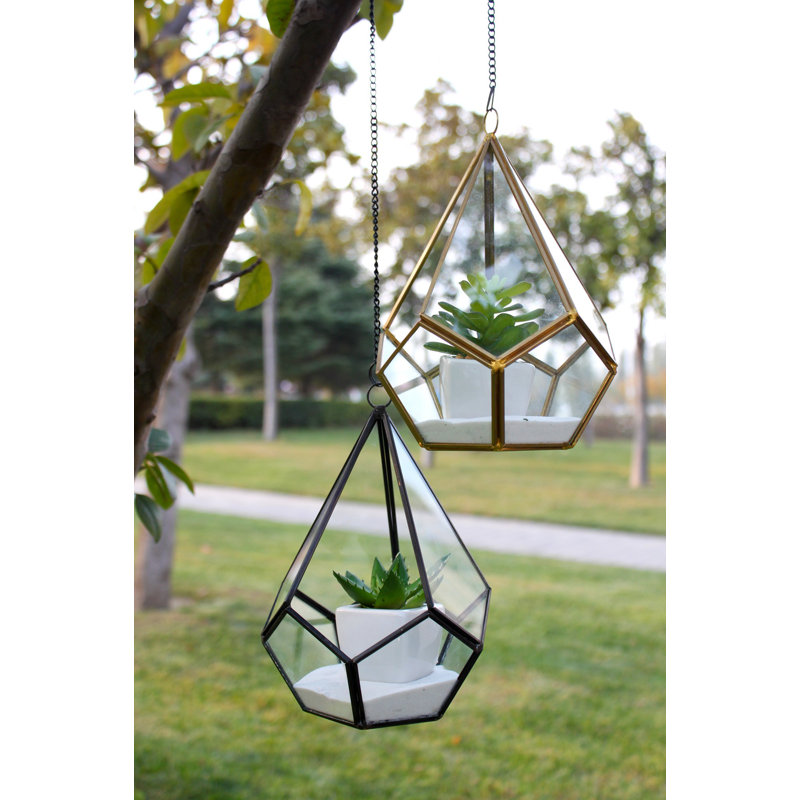 Terrarium en verre Radu Undecahedron, Doré vieilli