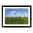 Black Framed selected