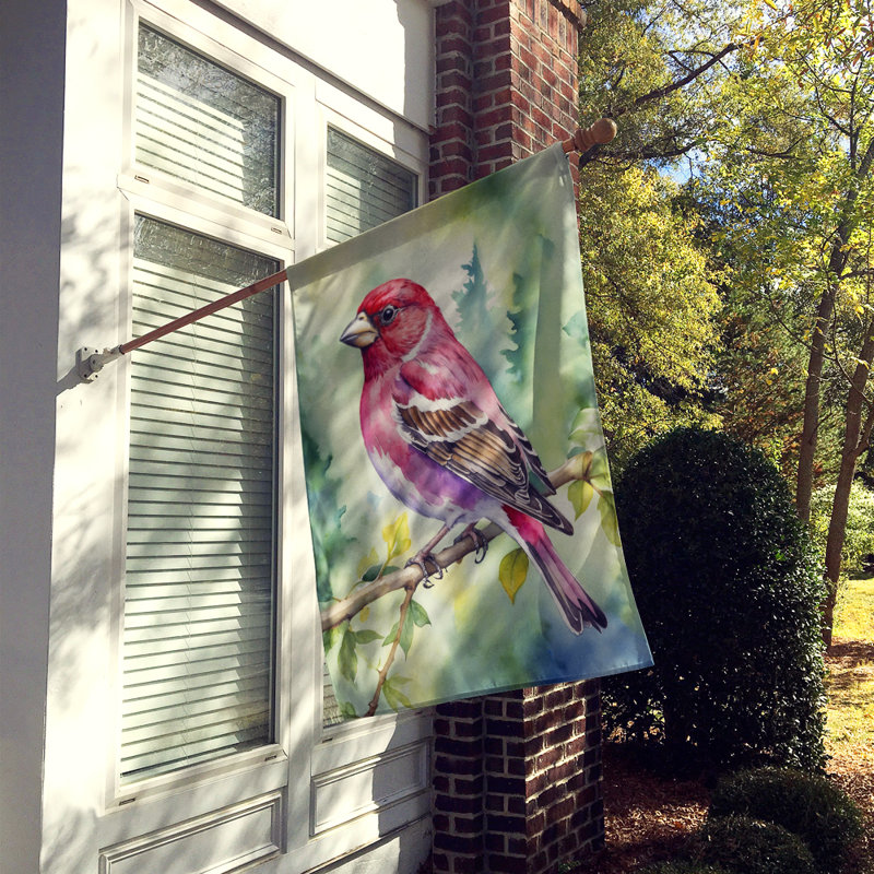 House Flag, New Hampshire Purple Finch