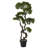 Panama 37 " H Faux Bonsai Tree in Plastic Pot Liner