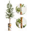 68 plantes-95099216