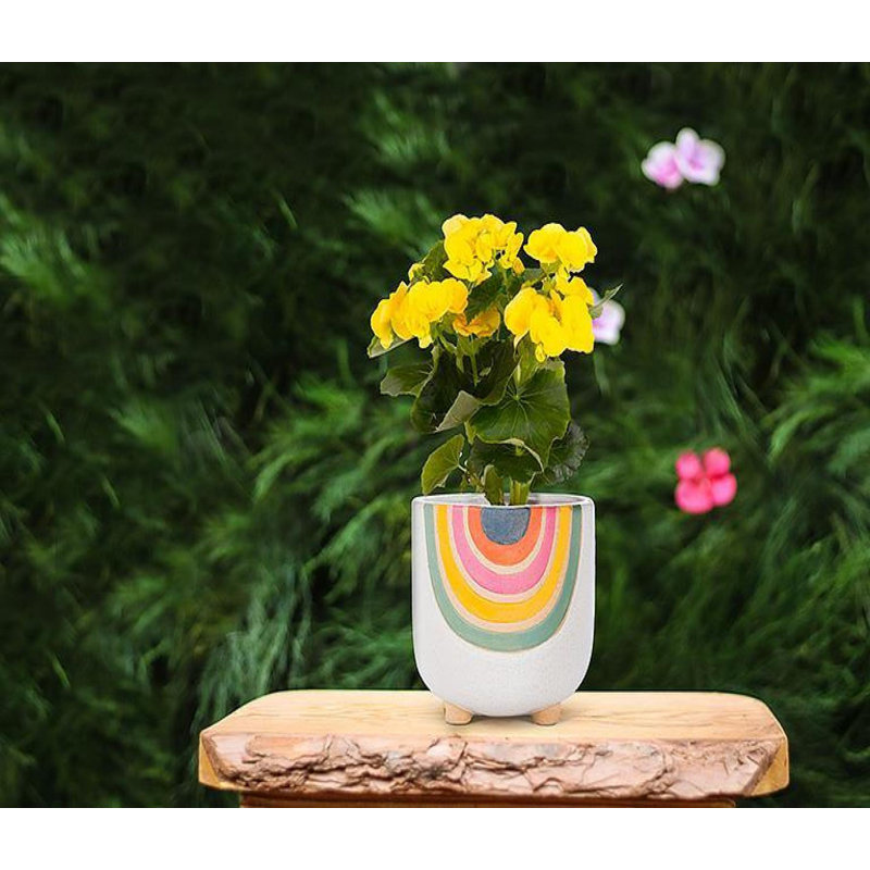 Footed Rainbow Patterned Planter