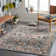 Aldusa Oriental Indoor Rug